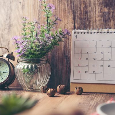 How to Create a Homeschool Schedule or Daily Rhythm That Will Minimize Stress, Maximize Productivity, and Facilitate Joy in Your Homeschool.