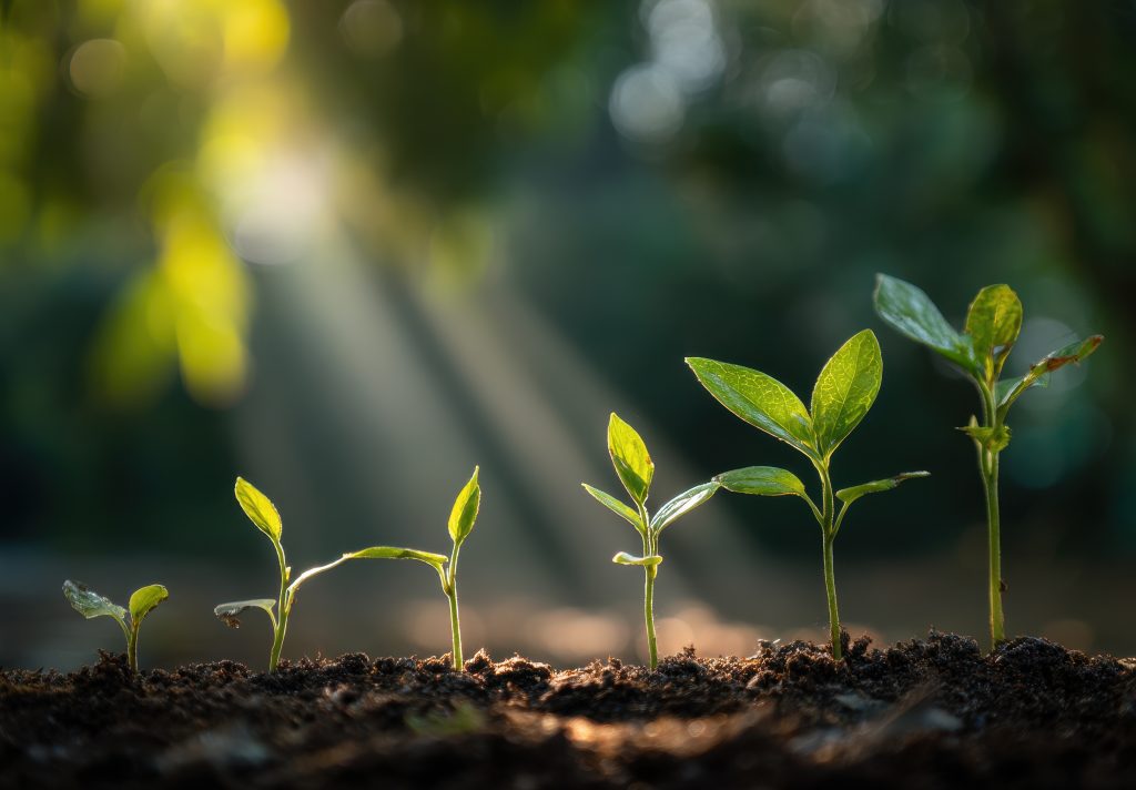 spiritual growth 